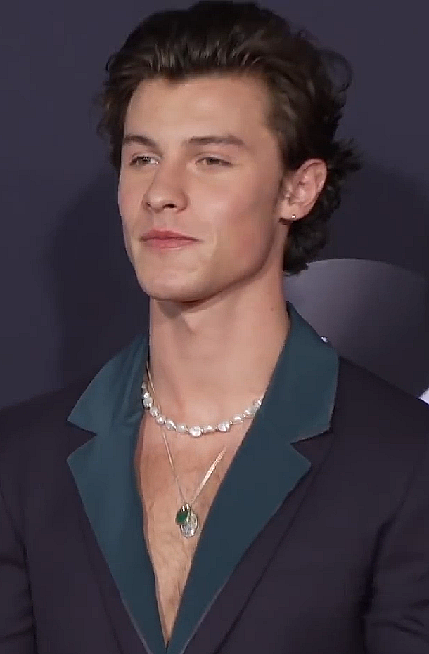 숀 멘데스 (Shawn Mendes)
